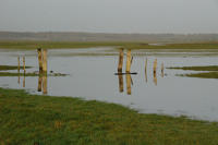 3443 Triaize - Le marais inondé, décembre 2012. Marais poitevin 