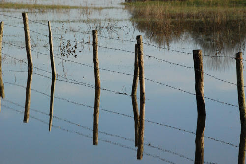 Triaize - Le marais inondé, décembre 2012. Marais poitevin