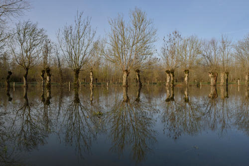 Sainte-Christine. Inondations décembre 2012. Marais poitevin