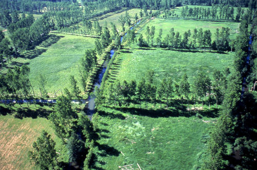 Vue aérienne du marais mouillé. Marais poitevin