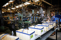 3605 Maillé - Fabrication d'emballage en peuplier à l'usine Richard. Marais poitevin 