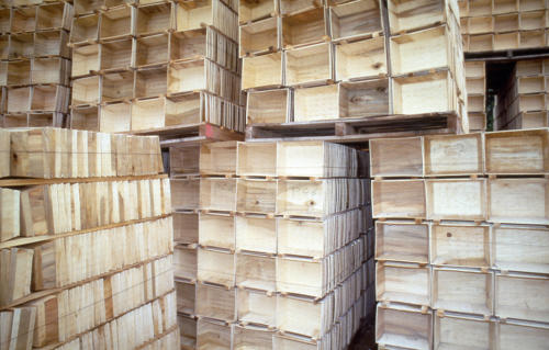 Maillé - Fabrication d'emballage en peuplier à l'usine Richard. Marais poitevin