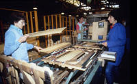 3630 Maillé - Fabrication d'emballage en peuplier à l'usine Richard. Marais poitevin 