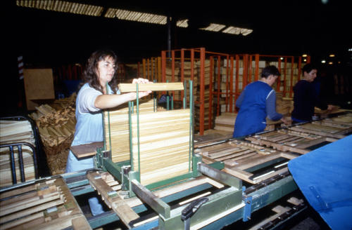 Maillé - Fabrication d'emballage en peuplier à l'usine Richard. Marais poitevin