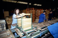3632 Maillé - Fabrication d'emballage en peuplier à l'usine Richard. Marais poitevin 