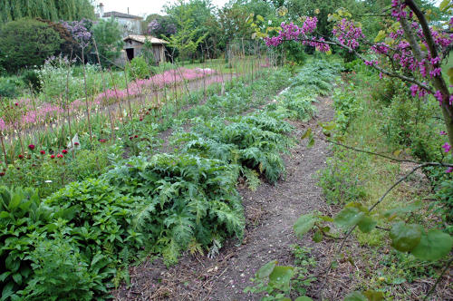 Jardinage dans le Marais poitevin - Le jardin potager