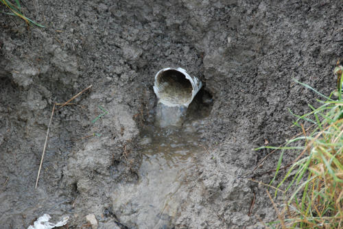 Les tuyaux de drainage évacuent l'eau des parcelles agricoles. Marais poitevin