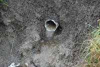 3747 Les tuyaux de drainage évacuent l'eau des parcelles agricoles. Marais poitevin 
