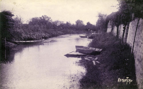 La Taillée - Le Canal de La Taillée. Marais poitevin
