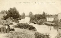 3845 Le Gué-de-Velluire - Paysage artistique sur la rivière Vendée. Marais poitevin 