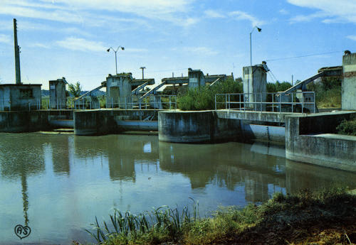 La Taillée - Le barrage de la Boule d'Or. Marais poitevin