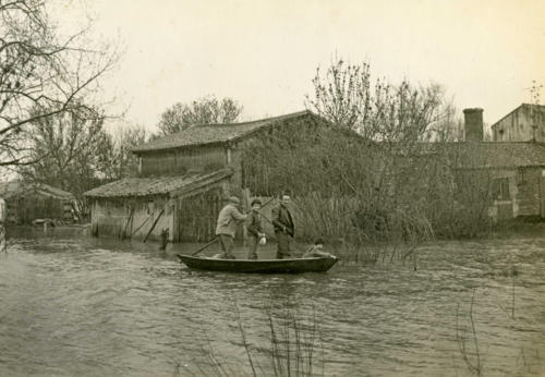 La Taillée - Le Marais inondé. Marais poitevin
