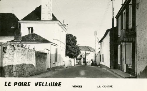 Le Poiré-sur-Velluire - Le Marais. Marais poitevin