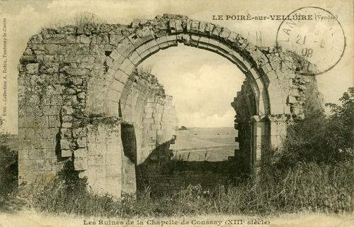 Le Poiré-sur-Velluire - Les ruines de la Chapelle de Coussay (XIIIe siècle). Marais poitevin