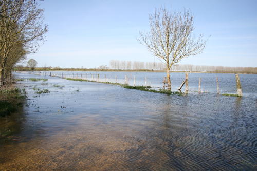 Le Gué-d'Alleré - Le marais communal inondé. Marais poitevin