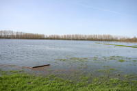 4567 Nuaillé-d'Aunis - Le marais communal inondé. Marais poitevin 