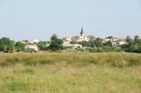 4696 Saint-Denis du Payré - Le village vu de la Réserve naturelle nationale. Marais poitevin 