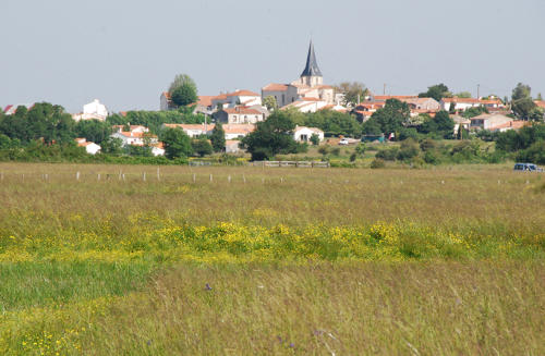 Saint-Denis du Payré - Le village vu de la Réserve naturelle nationale. Marais poitevin