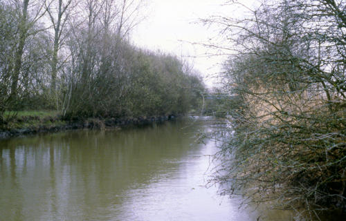 Sainte-Radégonde-des-Noyers - Le Canal des Cinq Abbés. Marais poitevin