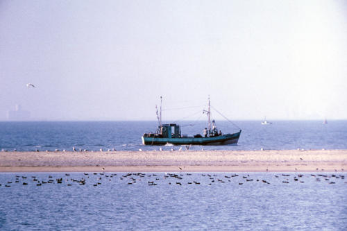 La Faute-sur-Mer - Un bateau de pêche près de la Pointe d'Arçais