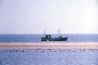 5265 La Faute-sur-Mer - Un bateau de pêche près de la Pointe d'Arçais 