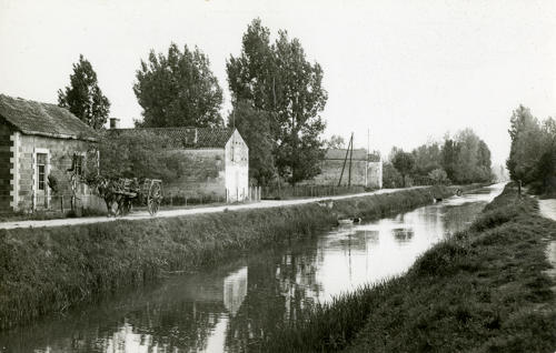 Bouillé-Courdault - Le canal de Courdault à Courdault. Marais poitevin