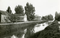 5385 Bouillé-Courdault - Le canal de Courdault à Courdault. Marais poitevin 