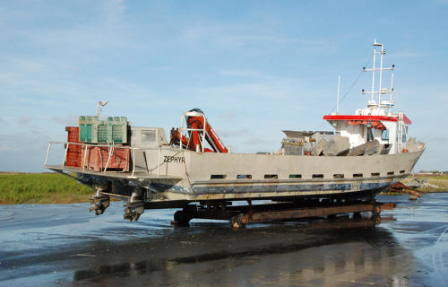 Charron - Le port du Pavé, bateau mytilicole. Marais poitevin