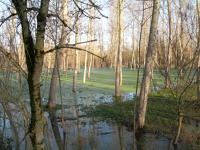 5614 Le Vanneau-Irleau - Inondation hiver 2006 - Marais poitevin 