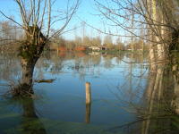 5617 Le Vanneau-Irleau - Inondation hiver 2006 - Marais poitevin 