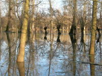 5621 Le Vanneau-Irleau - Inondation hiver 2006 - Marais poitevin 
