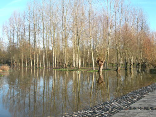 Le Vanneau-Irleau - Le port du Vanneau, inondation hiver 2006 - Marais poitevin