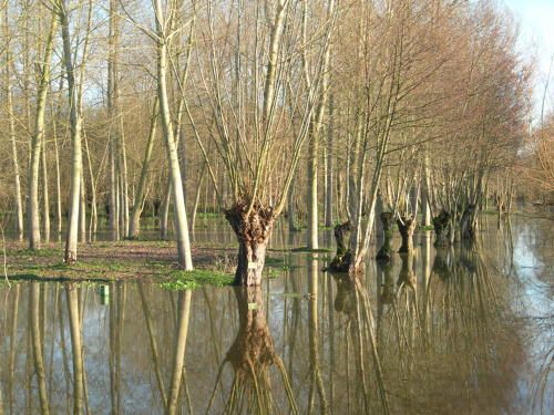 Le Vanneau-Irleau - Le port du Vanneau, inondation hiver 2006 - Marais poitevin