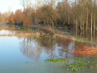 5627 Le Vanneau-Irleau - Inondation hiver 2006 - Marais poitevin 