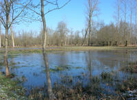 5631 Saint-Hilaire-la-Palud - Inondation hiver 2006 - Marais poitevin 