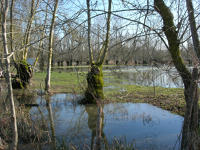 5632 Saint-Hilaire-la-Palud - Inondation hiver 2006 - Marais poitevin 