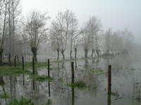 5641 Sansais - La Garette, inondation décembre 2006 - Marais poitevin 