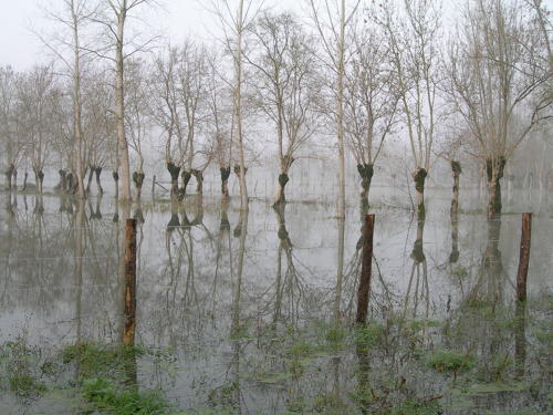 Sansais - La Garette, inondation décembre 2006 - Marais poitevin