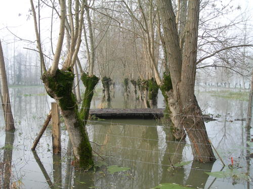 Sansais - La Garette, inondation décembre 2006 - Marais poitevin