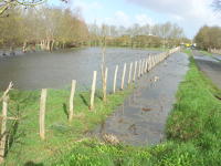 5649 Saint-Pierre-le-Vieux - Inondation mars 2006 - Marais poitevin 