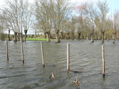 Saint-Pierre-le-Vieux - Inondation mars 2006 - Marais poitevin