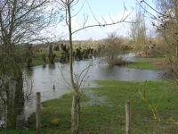 5656 Saint-Pierre-le-Vieux - Inondation mars 2006 - Marais poitevin 