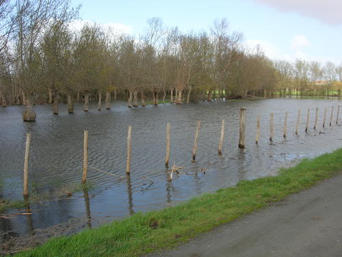 Saint-Pierre-le-Vieux - Inondation mars 2006 - Marais poitevin