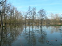 5786 Le Vanneau-Irleau - Inondation mars 2007 dans le marais d'Irleau 