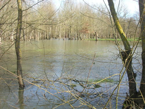 Bessines - Inondation février 2007