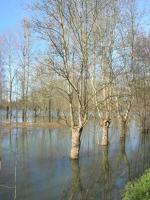 5794 Bessines - Inondation février 2007 