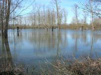 5795 Bessines - Inondation février 2007 