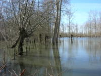 5796 Bessines - Inondation février 2007 