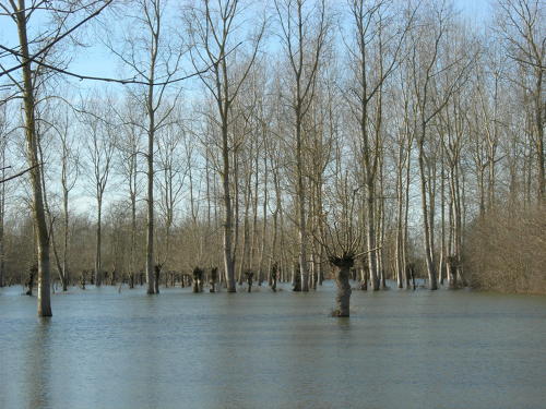 Bessines - Inondation février 2007