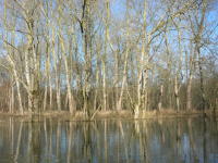5800 Bessines - Inondation février 2007 